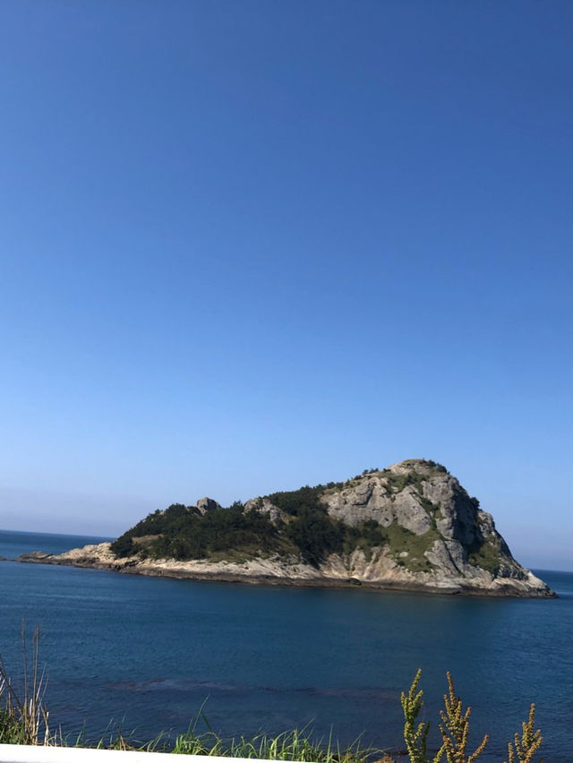 완도전망대