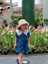 สวนดอกไม้เมืองหนาว
