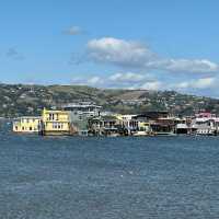 Floating Dreams: The Timeless Allure of Sausalito’s Bohemian Houseboats