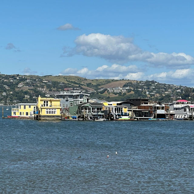 Floating Dreams: The Timeless Allure of Sausalito’s Bohemian Houseboats