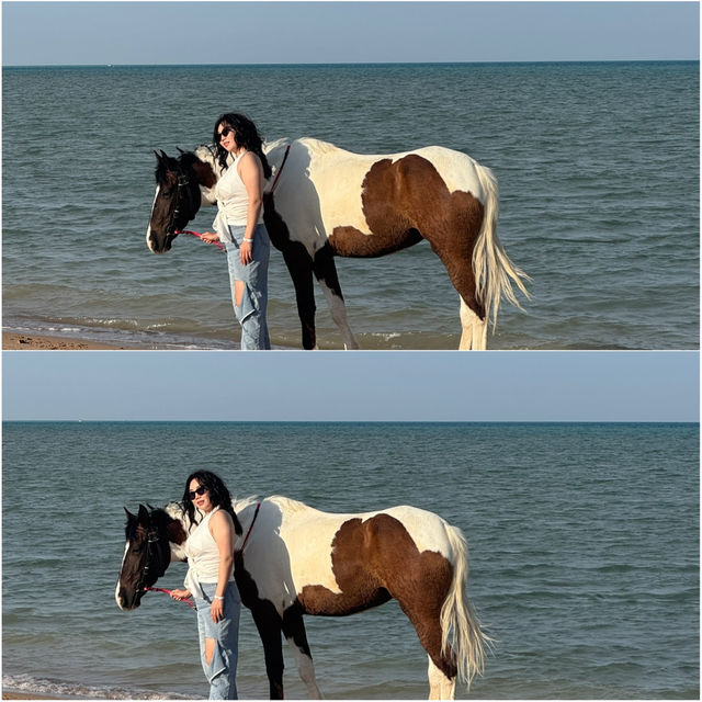 후루가다 해변 승마 + 세리비치 리조트에서 보낸 완벽한 하루
