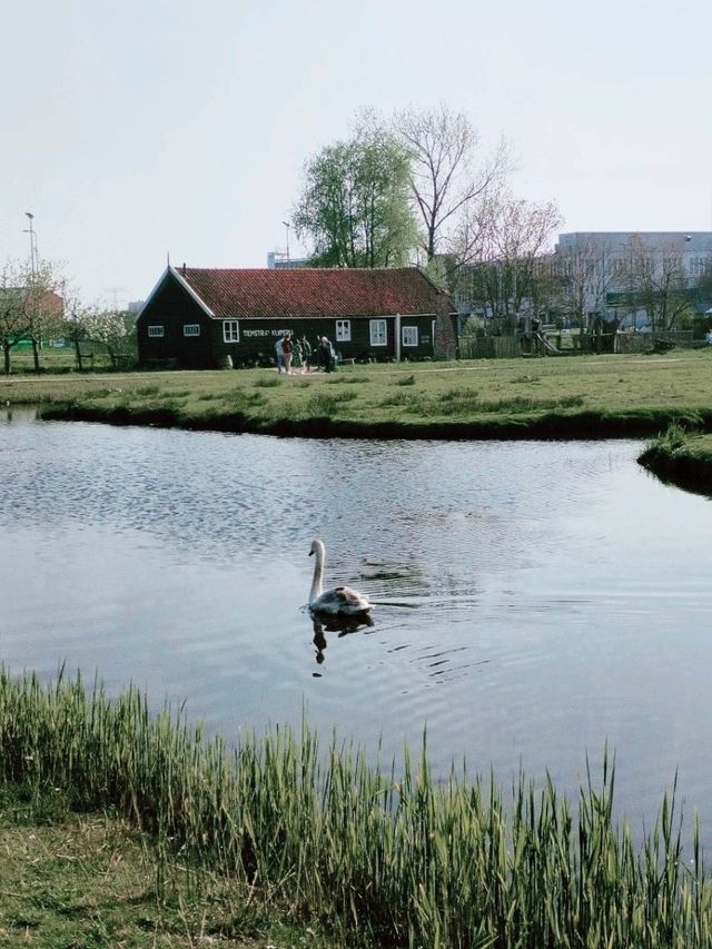 Solo Adventure to Zaanse Schans: A Dutch Dream