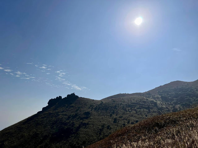 🗺️**探索香港芒草盛放:大東山**🗺️