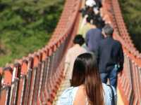 Ulsan Uncovered: Where Steel Meets Serenity