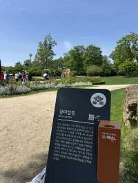 순천만국가정원의 꽃향기 가득한 장미정원 어때요?🌹✨