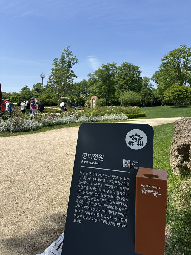 순천만국가정원의 꽃향기 가득한 장미정원 어때요?🌹✨