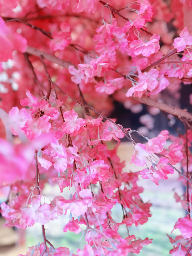Petals & Lights – A Dreamy Night at Nabana no Sato