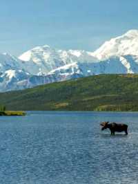 Into the Wild: Hiking Denali’s Untamed Trails"l