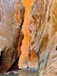 Walking Through the River: The Narrows Adventure