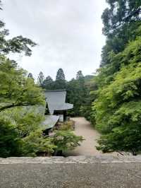 Jingo-ji Temple Is a Whole Vibe