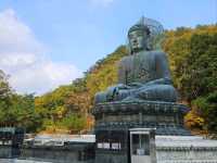 Mountain Vibes + Buddha Energy 