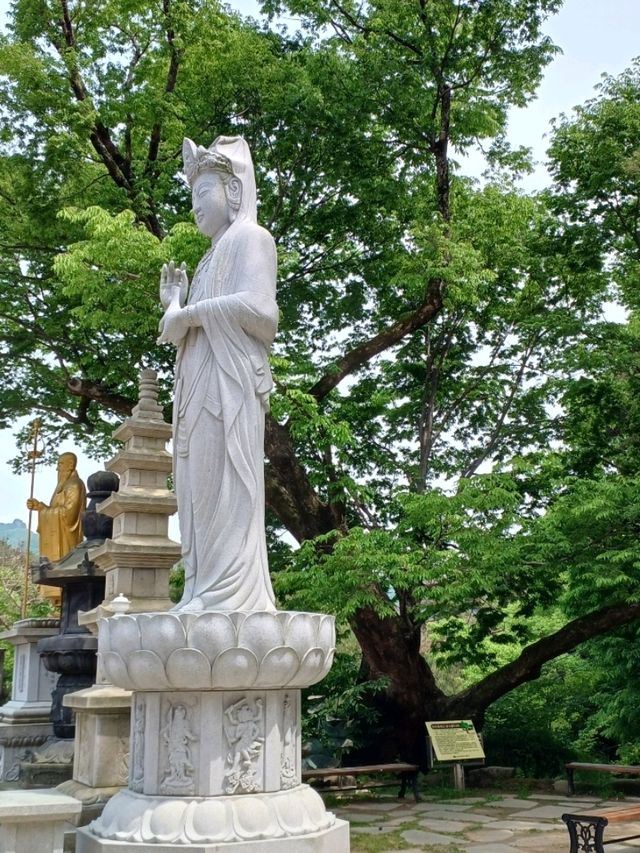 팔공산의 품에 안긴 동화사