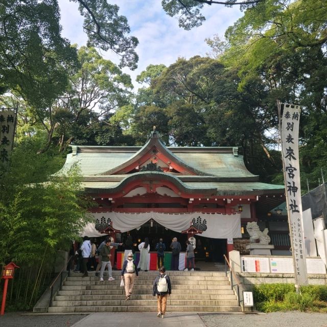【熱海】来宮神社