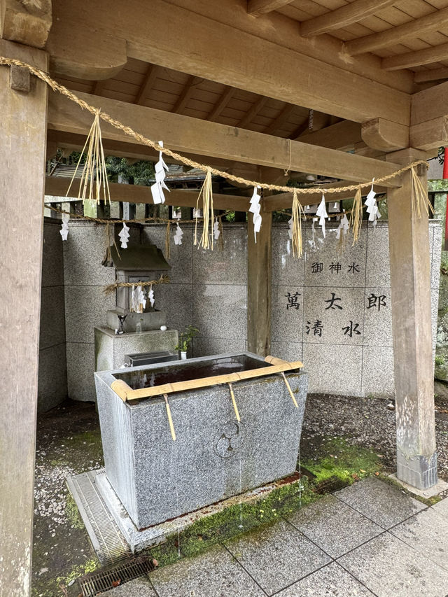 【大分旅行】別府では有名なパワースポット⛩見どころが多い神社⛩