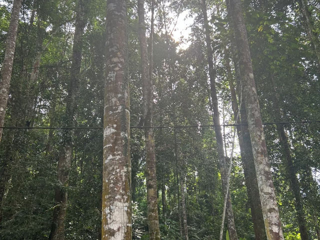KL’s Hidden Oxygen Paradise | Calling All Outdoor Enthusiasts! 🌿✨