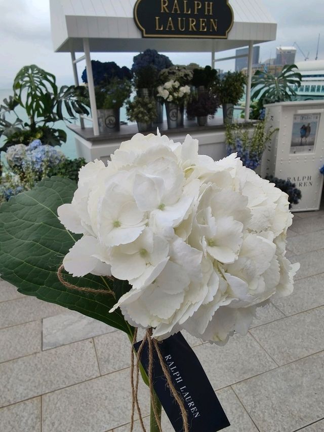 靚花 靚景 靚人