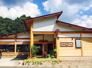 Bird's Nest Cafe: A Tranquil Forest Retreat
