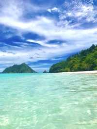 海の中に広がる感動の世界、シミランでしか味わえない体験を🐢🌊✨