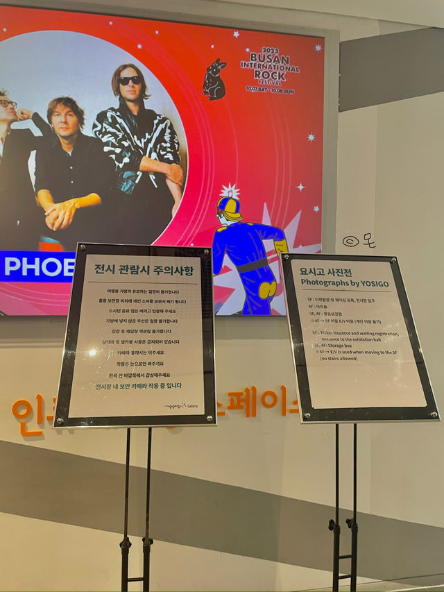 벌써 기대되는 요시고사진전 2 📷📸