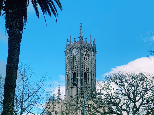 📍Auckland, New Zealand 🇳🇿 奧克蘭，一座可以讓你邊喝咖啡邊登火山、早上看港口帆船、晚上吃移動餐車的城市。✨