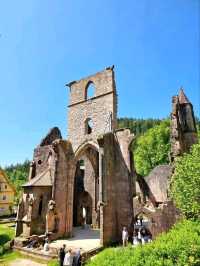 Black Forest National Park – Germany’s Enchanted Wilderness