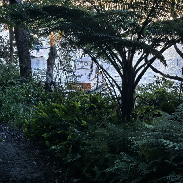 Sydney - Hubla Stairs Hike 🚶‍♂️🌊