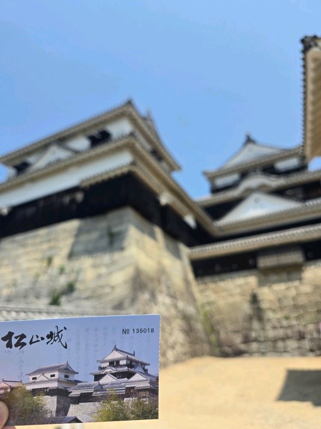 ✨ 일본 마쓰야마 여행기 ✨