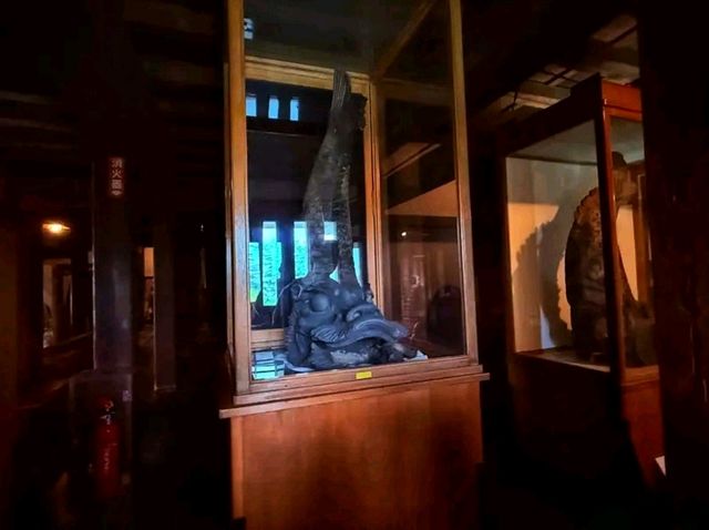 Matsumoto-jinja Shrine – A Hidden Sanctuary in Fukui