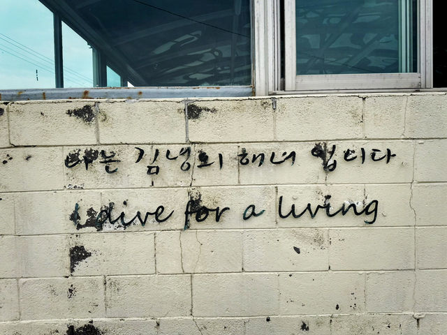 ‘당신은 김녕의 🌊🧑 어머니입니다’