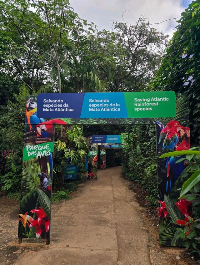 해외여행 브라질 이과수 조류동물원 Parque das Aves