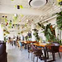 Laonsum Cafe
