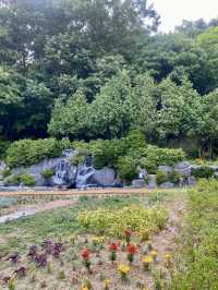 🌲 숲속 감성 그대로, 고양 신상카페 ‘로더우드 L’odeur Wood’