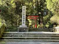神聖なエネルギーに包まれる、箱根神社＆九頭龍神社へ