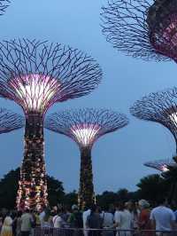 Light And Sound Show ที่ Gardens By The Bay