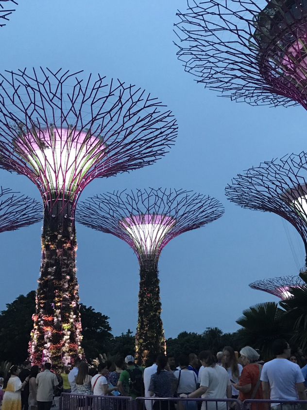 Light And Sound Show ที่ Gardens By The Bay