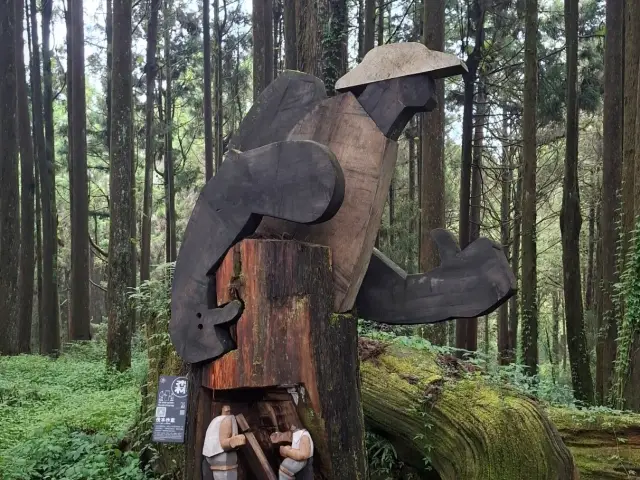  阿里山涼爽宜人仿如仙境