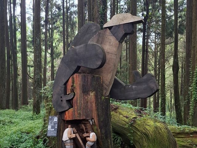  阿里山涼爽宜人仿如仙境