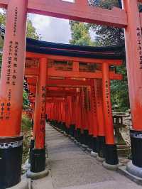โอซาก้า🇯🇵
