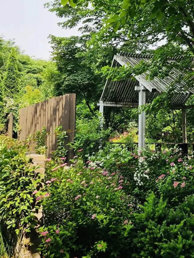 愉悅且具教育意義的世界盃公園之旅