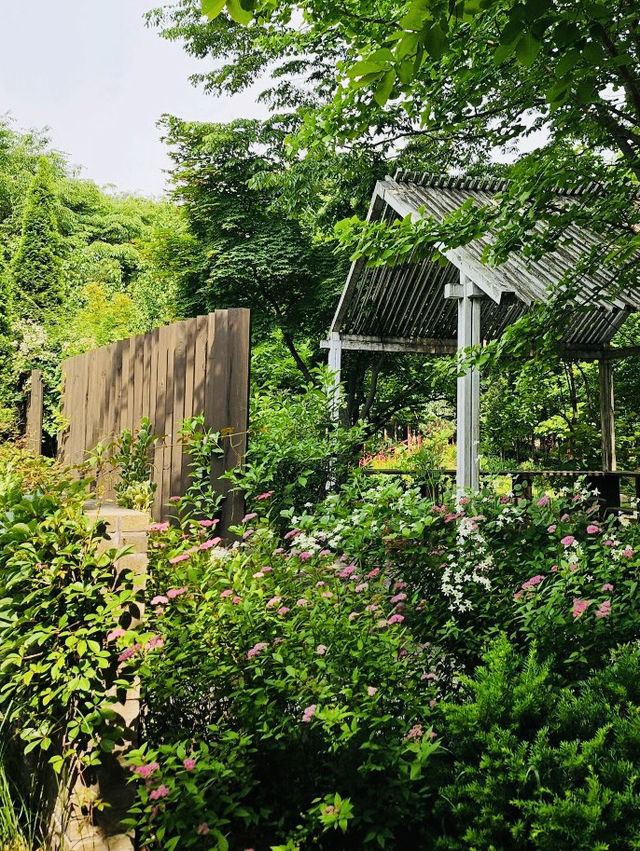 A Delightful and Educational Journey Through World Cup Park