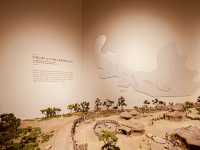 Discover Daejeon's Rich Story at the Daejeon Municipal Museum