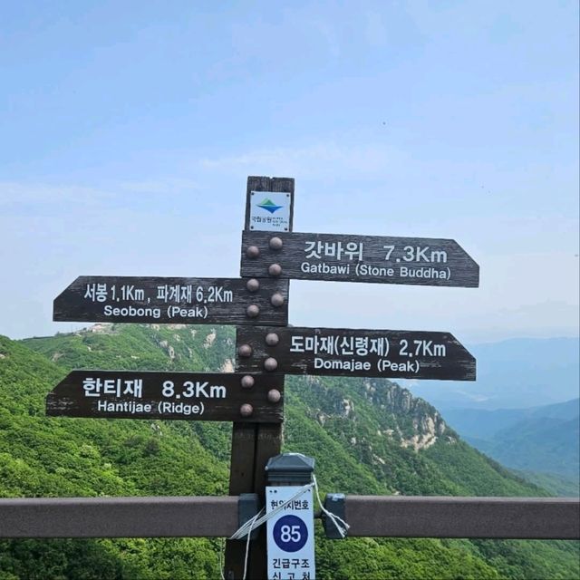 Steps, Sweat, and Temple Vibes at 820m