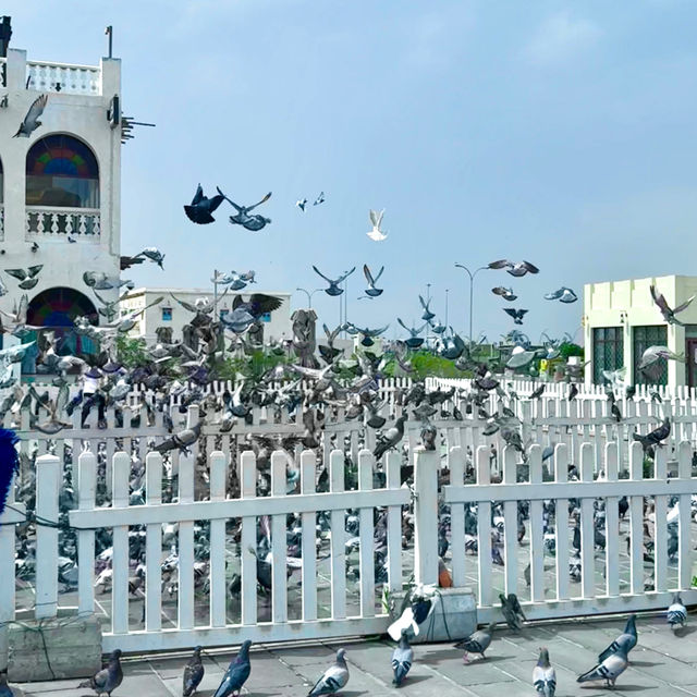 Qatar: Doha Snapshots! 🇶🇦✨