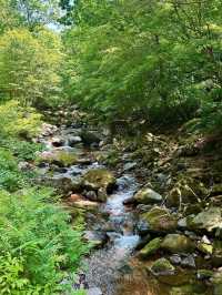 Waterfalls, Woods, and Zero Worries