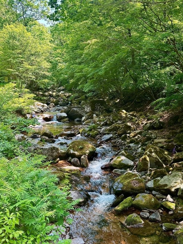 Waterfalls, Woods, and Zero Worries