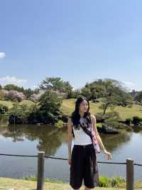 일본 여행지 추천 🇯🇵