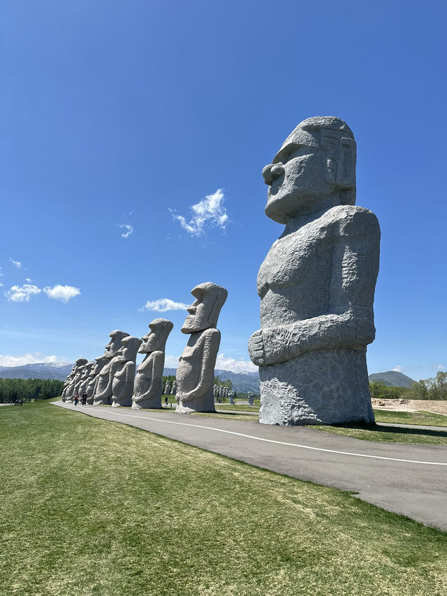 Sapporo … Hill of Buddha & Takino suzuran 