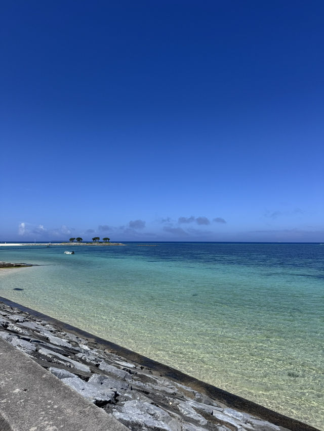 美ら海水族館に行く方必見‼️