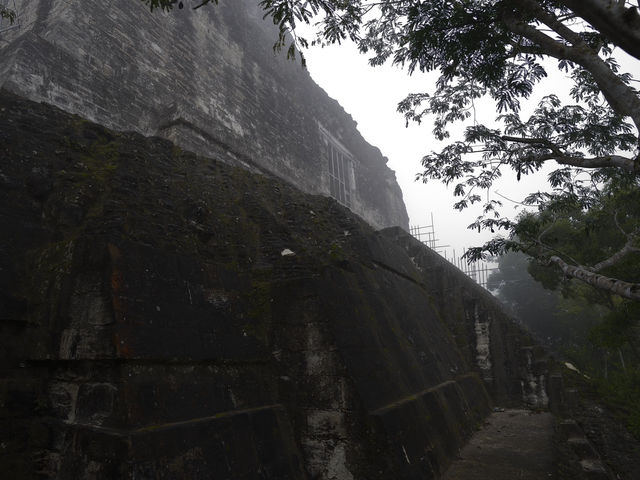 ジャングルの中の古代遺跡