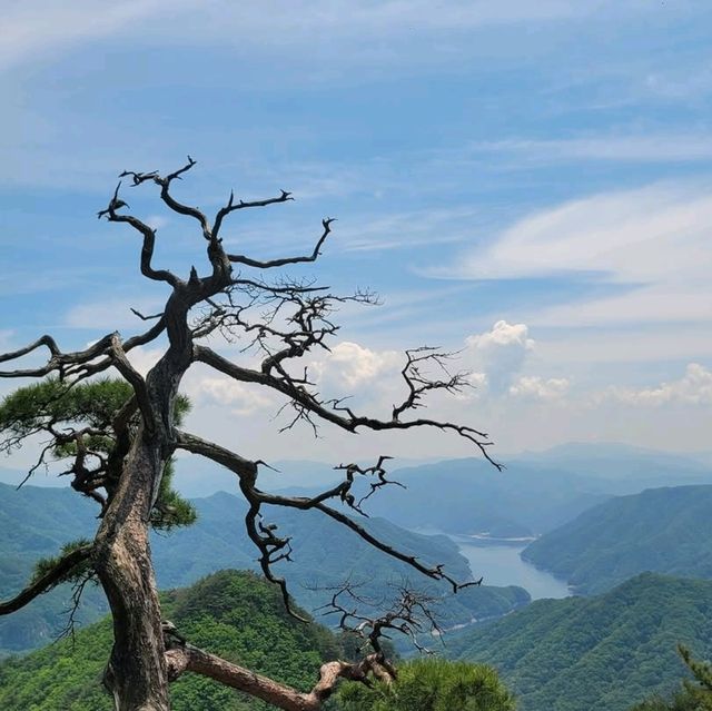 The summit of Mt. Obong